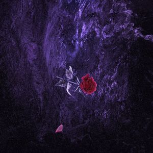 暴躁姐姐中文版bgm
